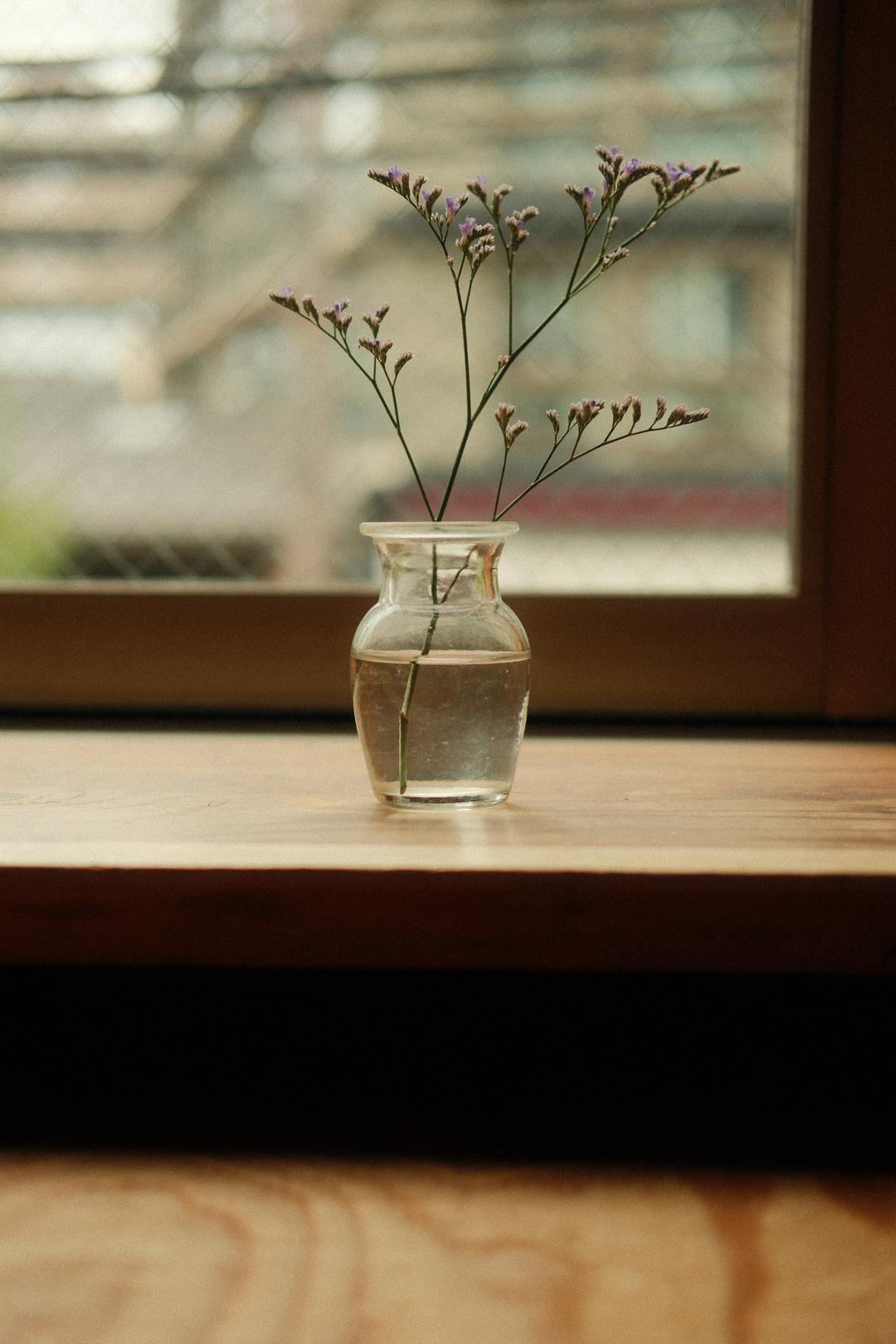 A vase by the window – Kyoto, Japan