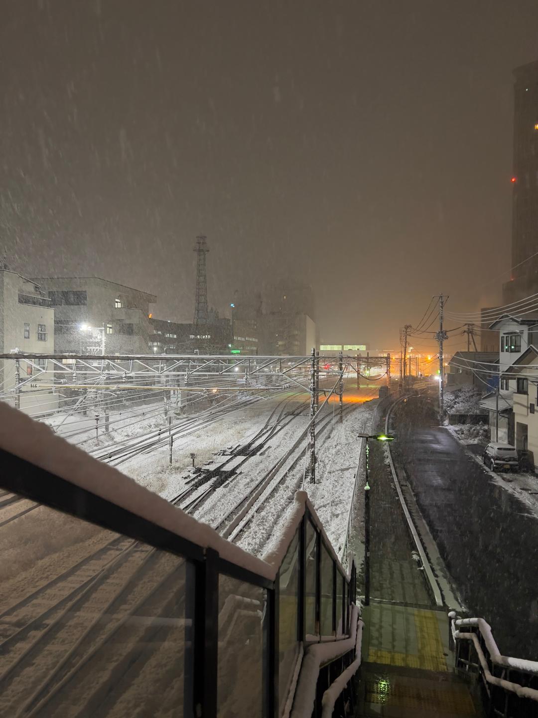 Tracks into the snowfall – Yamagata, Japan