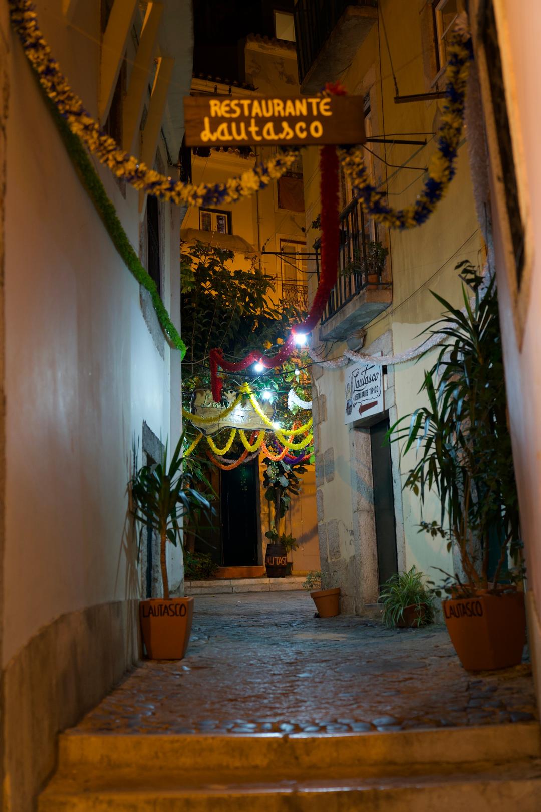 Planted night alley – Lisbon, Portugal